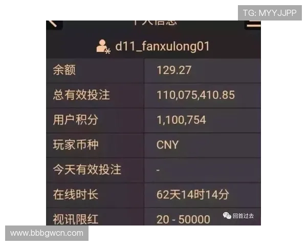 由浅入深的ag百家乐游戏技巧，帮你成为百家乐高手